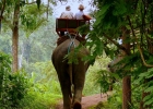 tailandia_5