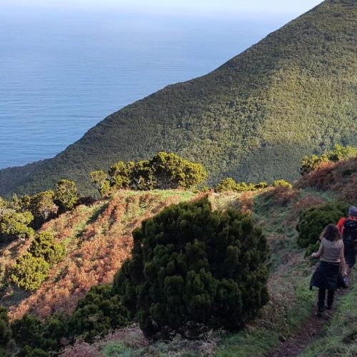 Vulcões,Trilhos&Cia