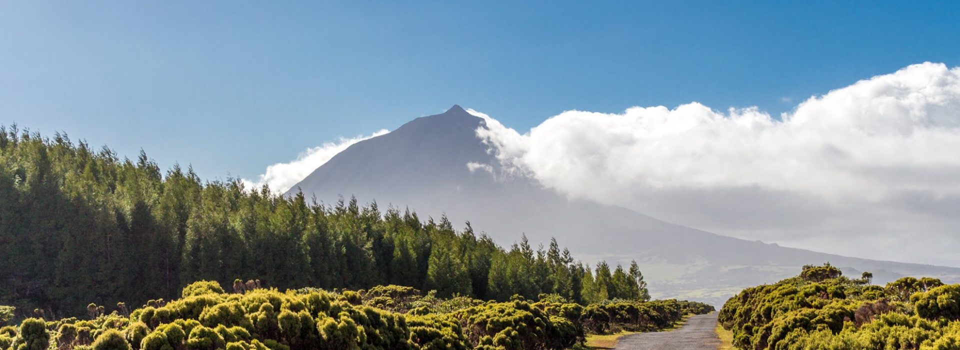 pico-acores-malaguetaviagens (1) pico-acores-malaguetaviagens (1)