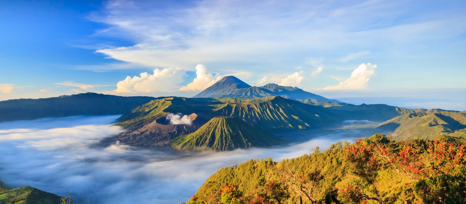 Circuito de Java a Bali